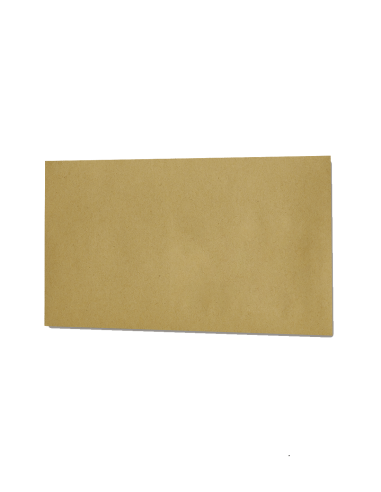 copy of kraft envelope POCHECO in DL...